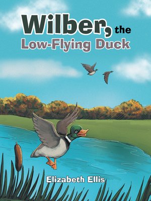 cover image of Wilber, the Low-Flying Duck